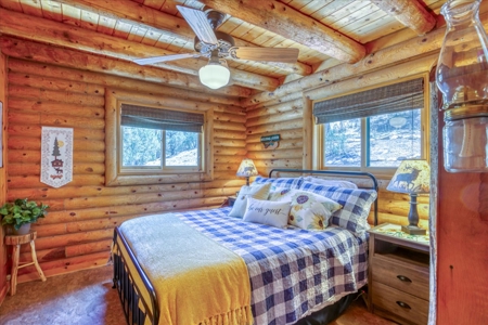 Chama NM Area Mountain Log Cabin For Sale, Heron Lake, - image 19