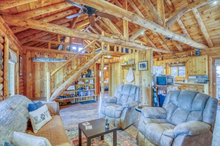 Chama NM Area Mountain Log Cabin For Sale, Heron Lake, - image 12