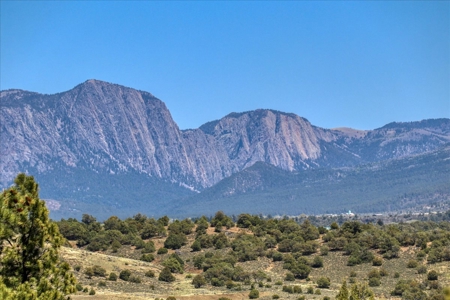 Chama NM Area Mountain Log Cabin For Sale, Heron Lake, - image 2