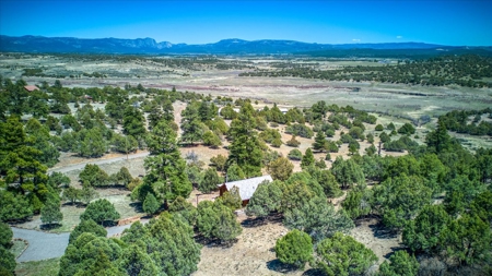 Chama NM Area Mountain Log Cabin For Sale, Heron Lake, - image 28