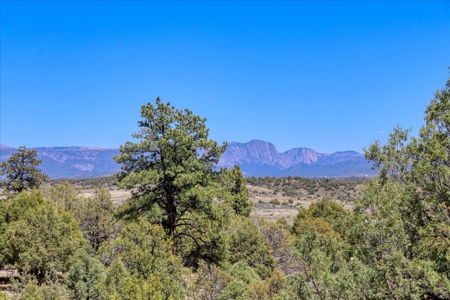 Chama NM Area Mountain Log Cabin For Sale, Heron Lake, - image 3