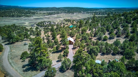 Chama NM Area Mountain Log Cabin For Sale, Heron Lake, - image 29