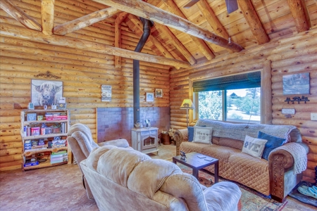 Chama NM Area Mountain Log Cabin For Sale, Heron Lake, - image 9