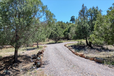 Chama NM Area Mountain Log Cabin For Sale, Heron Lake, - image 4