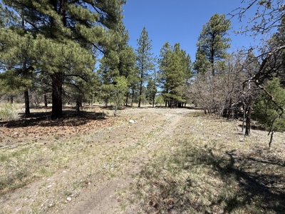 Land for sale in Northern New Mexico with no CCR's and River - image 1