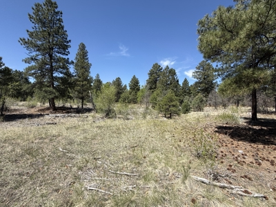 Land for sale in Northern New Mexico with no CCR's and River - image 5