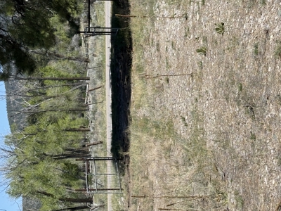 Land for sale in Northern New Mexico with no CCR's and River - image 2