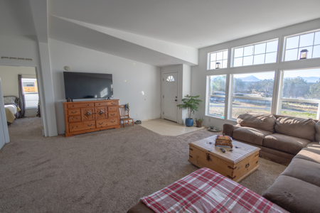 Colorado Country Home on 5.3 Acres Near Hotchkiss - image 9