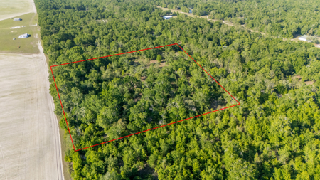 8 Open Acres for Sale in O'Brien, Florida - image 2