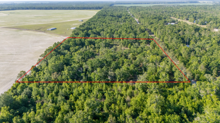 8 Open Acres for Sale in O'Brien, Florida - image 1