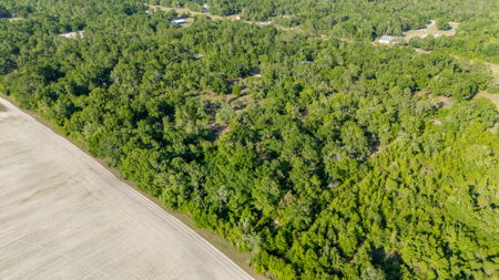 8 Open Acres for Sale in O'Brien, Florida - image 3