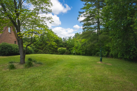 Brick Home for Sale at Auction in Floyd County VA - image 49