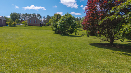Brick Home for Sale at Auction in Floyd County VA - image 5