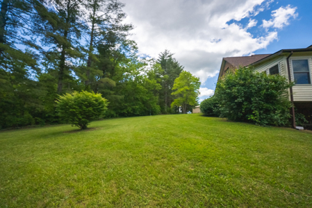 Brick Home for Sale at Auction in Floyd County VA - image 48
