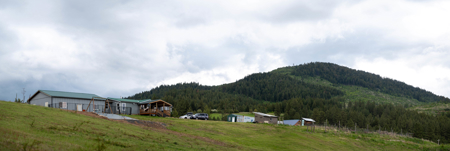 Homestead 70 acres ! Hunter's Paradise! Generational Living! - image 9