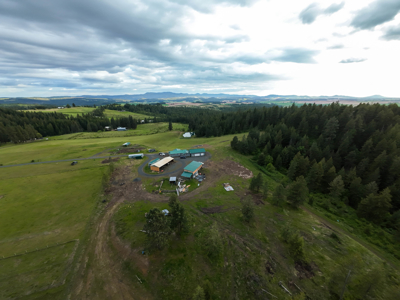 Homestead 70 acres ! Hunter's Paradise! Generational Living! - image 4
