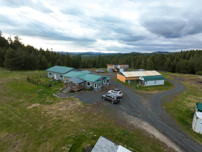 Homestead 70 acres ! Hunter's Paradise! Generational Living! - image 6