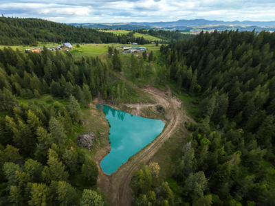 Homestead 70 acres ! Hunter's Paradise! Generational Living! - image 3