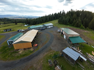 Homestead 70 acres ! Hunter's Paradise! Generational Living! - image 5