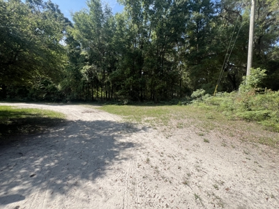 5 Acre Vacant Lot For Sale In Fort White, Florida! - image 8