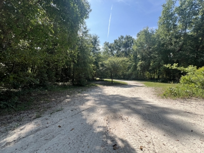 5 Acre Vacant Lot For Sale In Fort White, Florida! - image 1