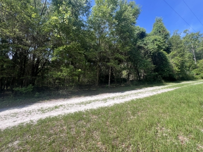 5 Acre Vacant Lot For Sale In Fort White, Florida! - image 14