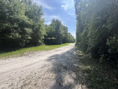 5 Acre Vacant Lot For Sale In Fort White, Florida! - image 9