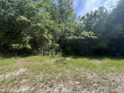 5 Acre Vacant Lot For Sale In Fort White, Florida! - image 10