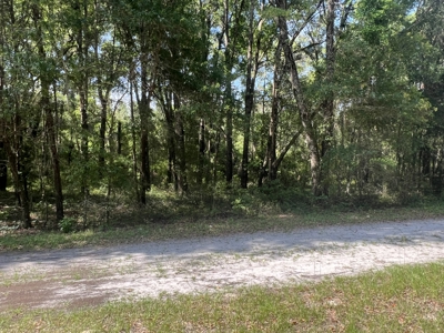5 Acre Vacant Lot For Sale In Fort White, Florida! - image 17