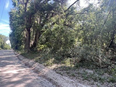 5 Acre Vacant Lot For Sale In Fort White, Florida! - image 7