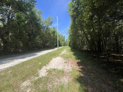 5 Acre Vacant Lot For Sale In Fort White, Florida! - image 15