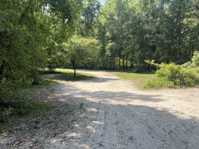 5 Acre Vacant Lot For Sale In Fort White, Florida! - image 2
