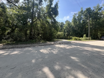 5 Acre Vacant Lot For Sale In Fort White, Florida! - image 5