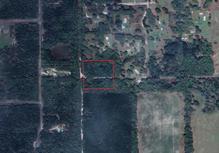 5 Acre Vacant Lot For Sale In Fort White, Florida! - image 3