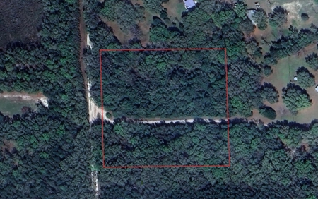 5 Acre Vacant Lot For Sale In Fort White, Florida! - image 21