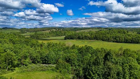 19.27 Acres For Sale in Meadows of Dan, Virginia - image 6