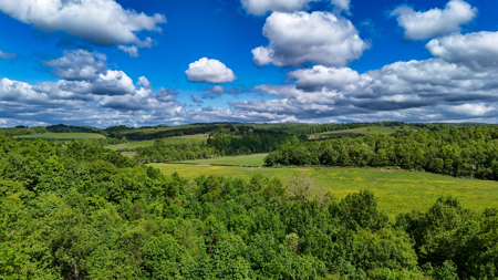 19.27 Acres For Sale in Meadows of Dan, Virginia - image 7