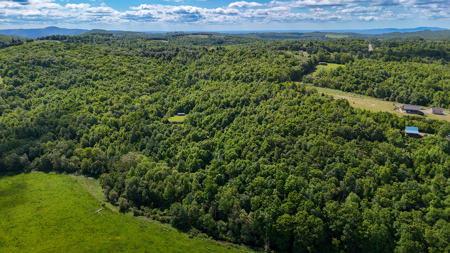 19.27 Acres For Sale in Meadows of Dan, Virginia - image 24