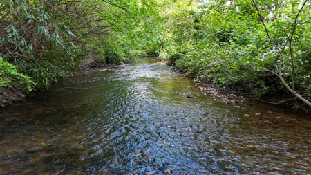 19.27 Acres For Sale in Meadows of Dan, Virginia - image 9