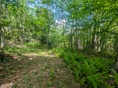 19.27 Acres For Sale in Meadows of Dan, Virginia - image 20