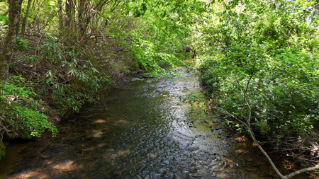 19.27 Acres For Sale in Meadows of Dan, Virginia - image 16