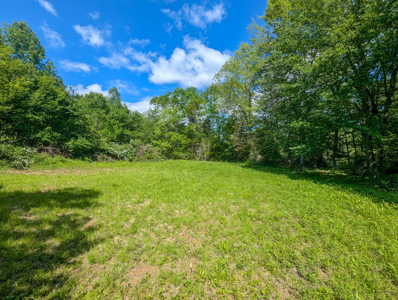 19.27 Acres For Sale in Meadows of Dan, Virginia - image 13