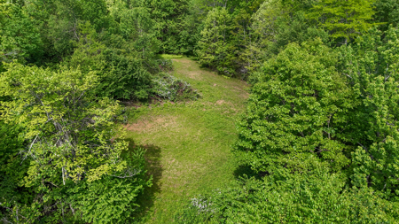 19.27 Acres For Sale in Meadows of Dan, Virginia - image 11