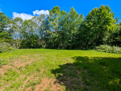 19.27 Acres For Sale in Meadows of Dan, Virginia - image 12