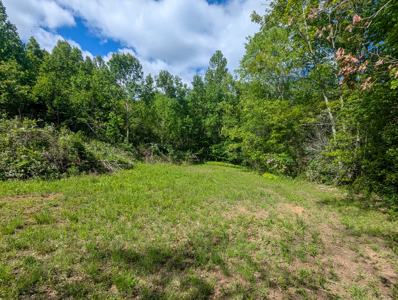 19.27 Acres For Sale in Meadows of Dan, Virginia - image 14