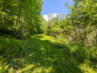 19.27 Acres For Sale in Meadows of Dan, Virginia - image 21