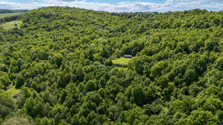 19.27 Acres For Sale in Meadows of Dan, Virginia - image 3