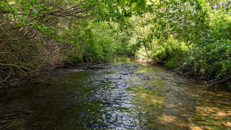 19.27 Acres For Sale in Meadows of Dan, Virginia - image 17