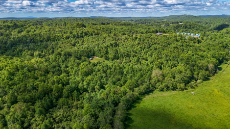 19.27 Acres For Sale in Meadows of Dan, Virginia - image 2