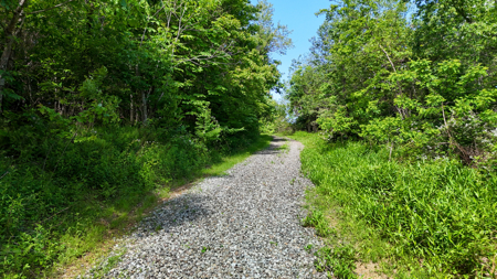 19.27 Acres For Sale in Meadows of Dan, Virginia - image 19